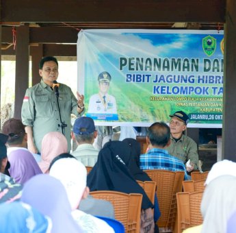 Tanam Jagung di Kecamatan Tanete Riaja, Bupati Barru Suardi Saleh Harap Hasil Panen Meningkat