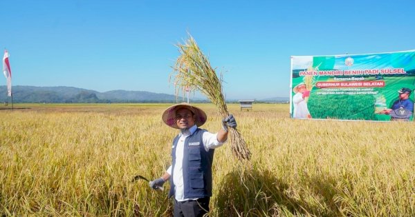 Andi Sudirman Berhasil Bawa Sulsel Surplus Beras 2,08 Juta Ton, Tertinggi se Indonesia
