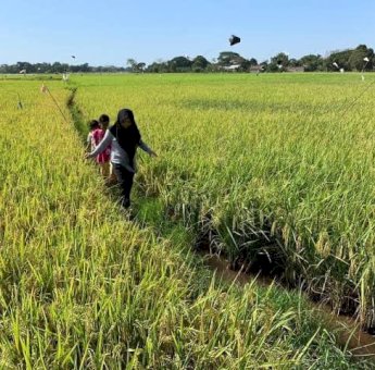 Di Era Andalan Ekonomi Sulsel Tumbuh Baik, Guru Besar : Berhasil Bangkit Pascacovid Itu Luar Biasa