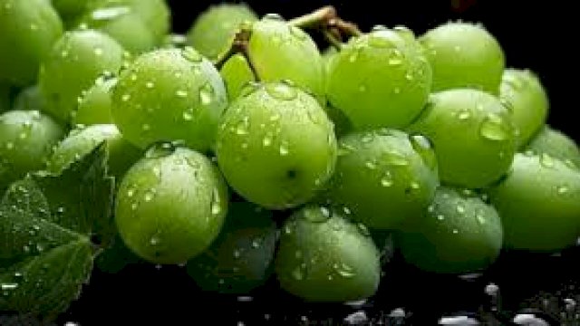 Anggur Moscat.(F-INT)