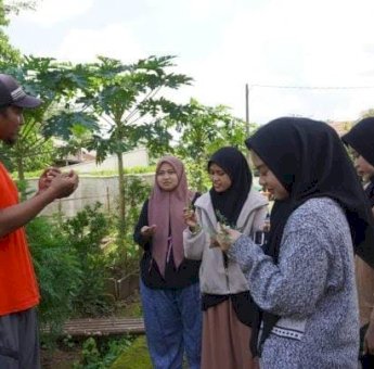 Mahasiswa Kalla Institute Terapkan Konsep Bisnis Berkelanjutan di Kebun Tetangga