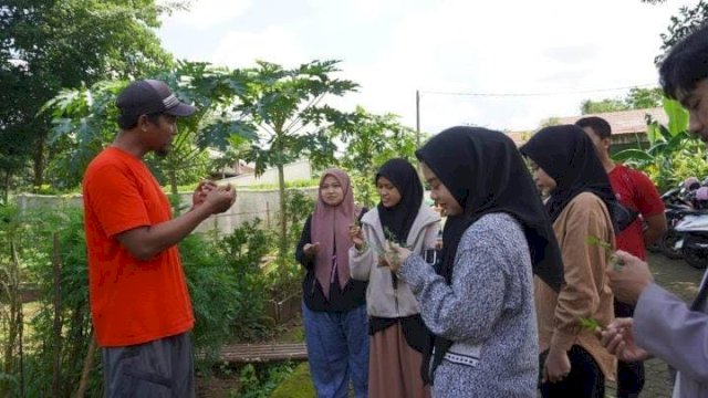 Mahasiswa Kalla Institute Terapkan Konsep Bisnis Berkelanjutan di Kebun Tetangga