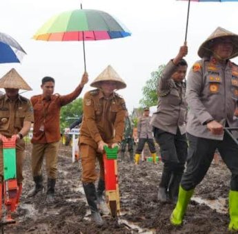Serentak Se-Indonesia, Pj Gubernur Prof Fadjry Djufry Bersama Forkopimda Sulsel Kompak Tanam Jagung di Jeneponto