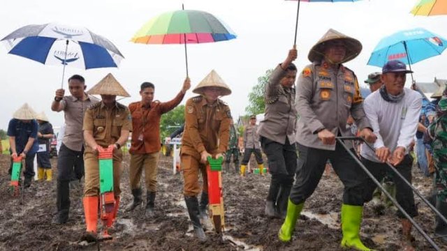 Penjabat Gubernur Sulsel Prof Fadjry Djufry Bersama Forkopimda Sulsel Ikut Tanam Jagung Serentak di Jeneponto