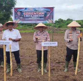 Pangkep Dukung Swasembada Pangan, Ketua DPRD Haris Gani-Wabup Syahban Sammana Ikut Tanam Jagung Serentak