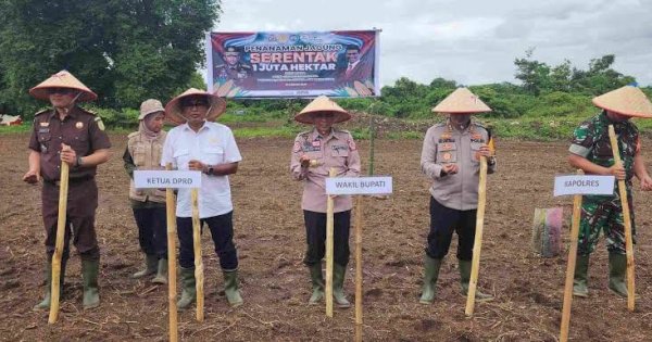 Pangkep Dukung Swasembada Pangan, Ketua DPRD Haris Gani-Wabup Syahban Sammana Ikut Tanam Jagung Serentak