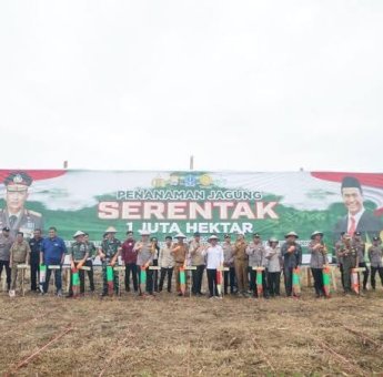Penanaman Jagung Serentak 1 Juta Hektar Di Desa Bolli Kecamatan Cina