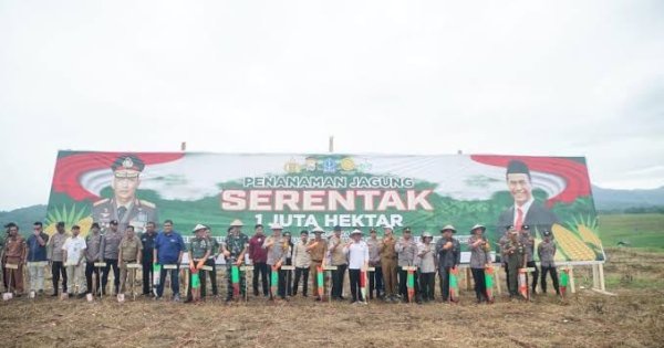 Penanaman Jagung Serentak 1 Juta Hektar Di Desa Bolli Kecamatan Cina