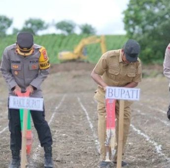 Bupati Andi Kaswadi Razak Bersama Forkopimda Soppeng Ikut Laksanakan Penanaman Jagung Serentak