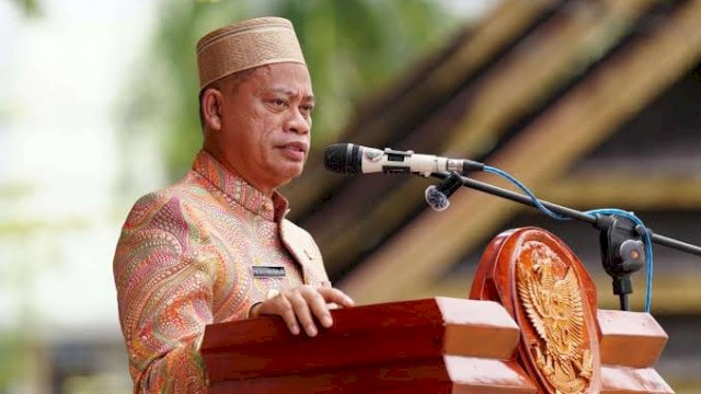Penjabat Gubernur Sulsel, Prof Fadjry Djufry.