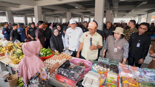 Pj Gubernur Sulsel, Prof Fadjry Djufry.