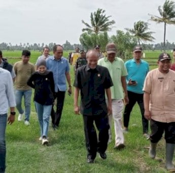 Rugikan Petani Sawah, Komisi D DPRD Sulsel Tinjau Tanggul Sungai yang Jebol di Pinrang