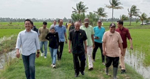 Rugikan Petani Sawah, Komisi D DPRD Sulsel Tinjau Tanggul Sungai yang Jebol di Pinrang