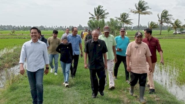 Rugikan Petani Sawah, Komisi D DPRD Sulsel Tinjau Tanggul Sungai yang Jebol di Pinrang