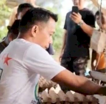 Syaharuddin Alrif Kunjungi Peternakan Ayam di Sidrap, Dorong Pertumbuhan Sektor Peternakan