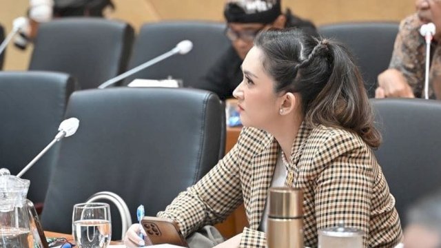 Anggota Komisi IX DPR RI dari Fraksi Partai NasDem, Nafa Urbach.