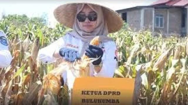 Ketua DPRD Bulukumba Umy Asyiatun Khadijah.