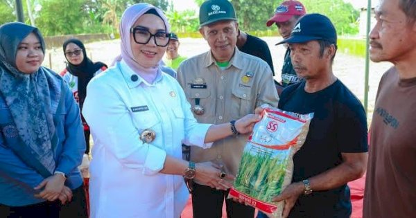Bupati Barru Andi Ina Serahkan Bantuan Benih Padi di Kecamatan Balusu