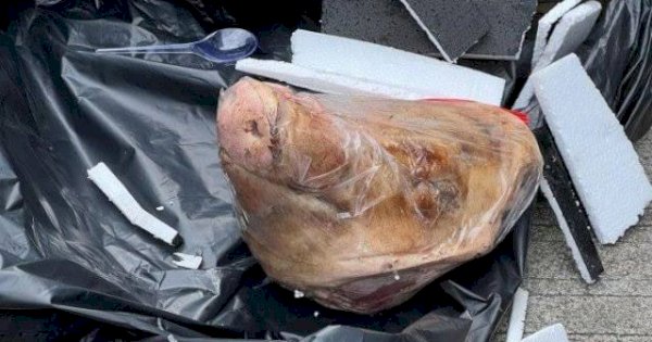 Bareskrim Bersama Polda Metro Olah TKP Dugaan Teror di Kantor Tempo, Dikirimi Kepala Babi hingga Bangkai Tikus