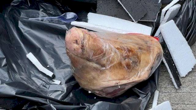 Kantor Tempo diteror Kepala Babi hingga Bangkai Tikus.