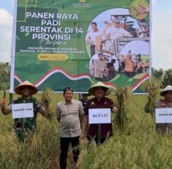 Bupati Pinrang Ikut Serta Panen Raya Nasional Bersama Presiden Prabowo Subianto