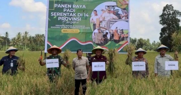 Bupati Pinrang Ikut Serta Panen Raya Nasional Bersama Presiden Prabowo Subianto