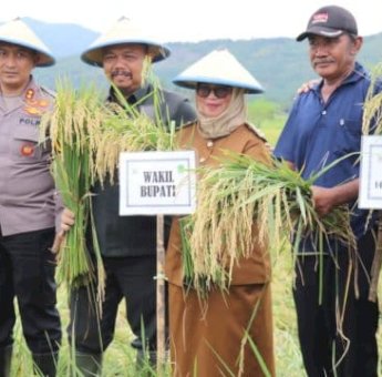 Lutim Ambil Bagian dalam Panen Raya Nasional, Wabup Puspa Apresiasi Peran Petani