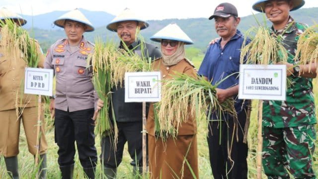 Lutim Ambil Bagian dalam Panen Raya Nasional, Wabup Puspa Apresiasi Peran Petani