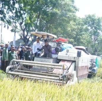 Bupati Jeneponto Paris Yasir Hadiri Panen Raya Padi Nasional, Produksi Meningkat