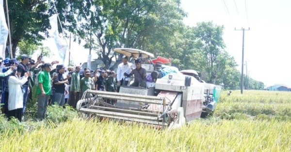 Bupati Jeneponto Paris Yasir Hadiri Panen Raya Padi Nasional, Produksi Meningkat