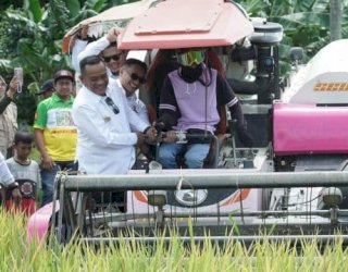 Kabupaten Luwu Turut Wakili Sulsel di Panen Raya Serentak Bersama Presiden Prabowo