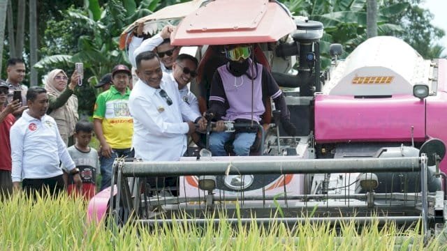 Bupati Luwu Patahudding.