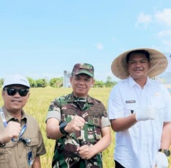 Panen Raya Padi Serentak, Bantaeng Nyaris Capai Target GKP