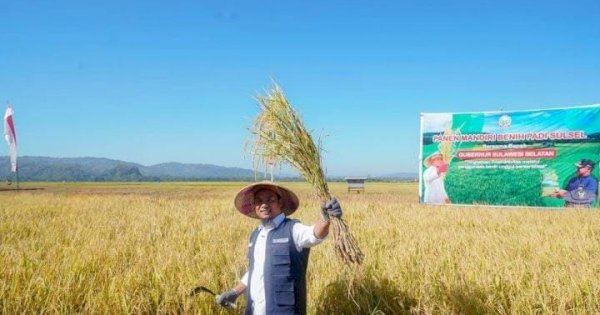 Gubernur Andalan Optimis Sulsel Capai Target Produksi Gabah 5,5 juta Ton di Tahun 2025
