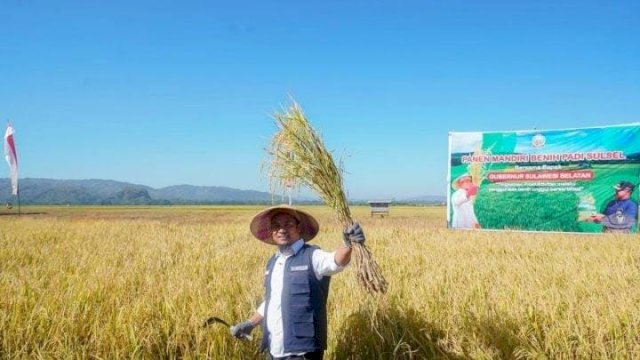 Andi Sudirman Sulaiman Berhasil Kembalikan Kejayaan Pertanian Sulsel.
