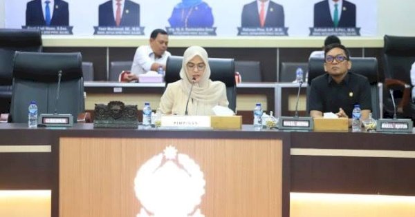 Pansus DPRD Sulsel Ekspose Rancangan Awal RPJMD 2025-2029, Ulas Visi-Misi Andalan Hati