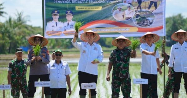 Dicanangkan Prabowo, Bupati Pangkep Yusran Tanam Padi di Kampung Ujung, Optimis Produksi Musim Tanam Kedua Meningkat