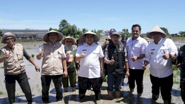 Wali Kota Munafri Tanam Padi bersama Warga.