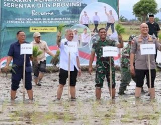 Ikut Tanam Padi Serentak, Pemkab Pinrang Komitmen Beri Kontribusi Nyata Jaga Stabilitas Produksi pangan