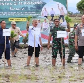 Ikut Tanam Padi Serentak, Pemkab Pinrang Komitmen Beri Kontribusi Nyata Jaga Stabilitas Produksi pangan