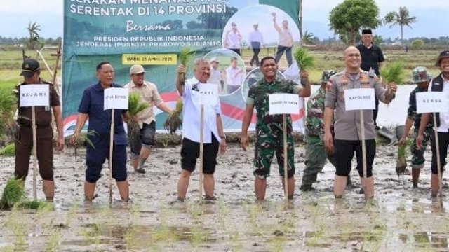 Bupati Pinrang H. A. Irwan Hamid, S.Sos bersama Forkopimda tanam padi serentak di Desa Mattiro Tasi, Kecamatan Mattiro Sompe.
