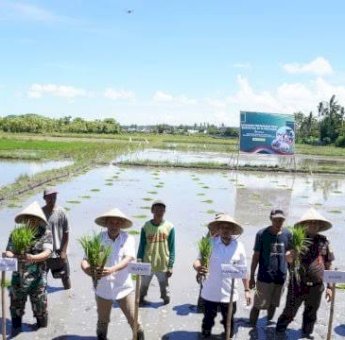 Hadir Via Zoom, Bupati Jeneponto Paris Ikut Tanam Padi Serentak 14 Provinsi Bersama Presiden RI