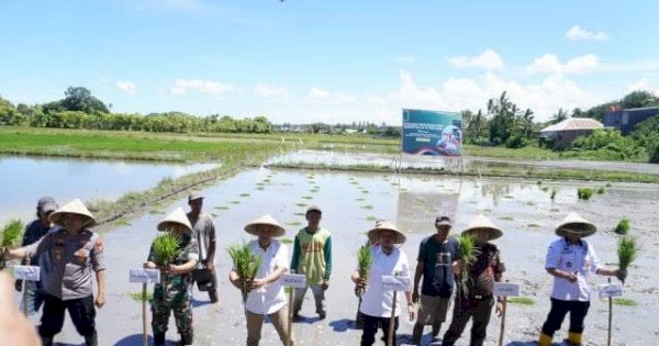 Hadir Via Zoom, Bupati Jeneponto Paris Ikut Tanam Padi Serentak 14 Provinsi Bersama Presiden RI