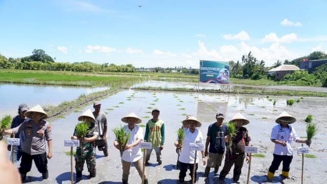 Bupati Jeneponto, Bapak H. Paris Yasir, S.E., M.M., menghadiri kegiatan Gerakan Menanam Padi Serentak yang dilaksanakan serentak di 14 provinsi Via Zoom.