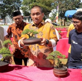 Bupati Irwan Tutup Pameran Bonsai Jilid II, Kagumi Pesona Bonsai Endemik Lutim
