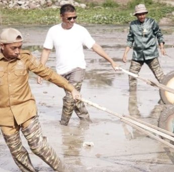 Pakai Baju Dinas, Bupati Sidrap Syaharuddin Alrif Ikut Langsung Tebar Benih di Sawah