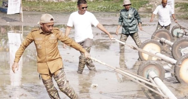 Pakai Baju Dinas, Bupati Sidrap Syaharuddin Alrif Ikut Langsung Tebar Benih di Sawah