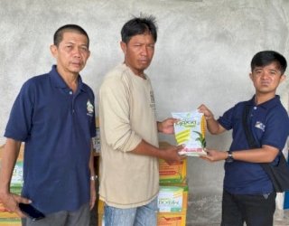 Ketua Komisi B DPRD Sulsel Azizah Irma Salurkan 15 Ton Bibit Jagung Unggul, Sasar 35 Kelompok Tani Pinrang