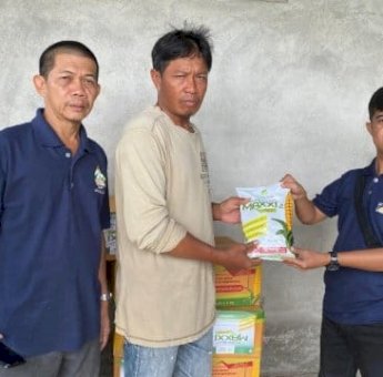 Ketua Komisi B DPRD Sulsel Azizah Irma Salurkan 15 Ton Bibit Jagung Unggul, Sasar 35 Kelompok Tani Pinrang