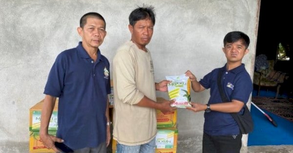 Ketua Komisi B DPRD Sulsel Azizah Irma Salurkan 15 Ton Bibit Jagung Unggul, Sasar 35 Kelompok Tani Pinrang